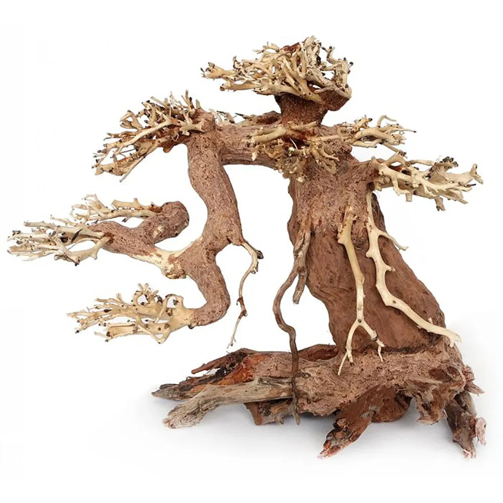 Ozami Bonsai Wood L – Bonsaiträd i naturträ 30×23×15cm