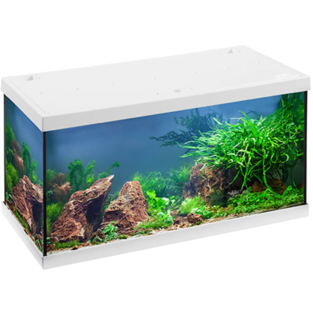 EHEIM Aquastar 54 LED startpaket 54L – 60x30x30cm