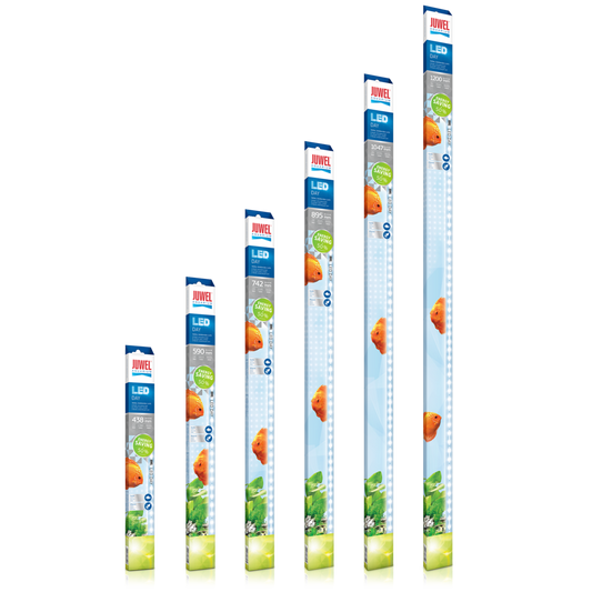 Juwel LED Day Light – Klart, vitt ljus för optimal färgåtergivning
