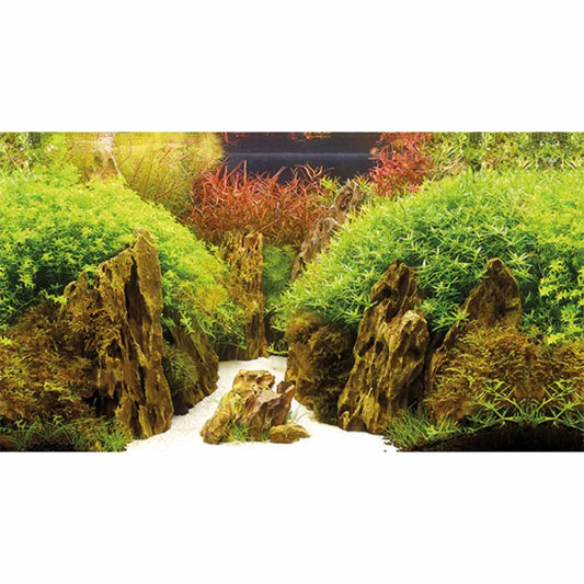 Dubbelsidig akvariebakgrund med naturmotiv – 60cm hög, säljs som metervara