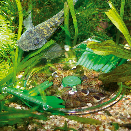 JBL Snigelfälla Limcollect II – Kemikaliefri fälla för akvarium