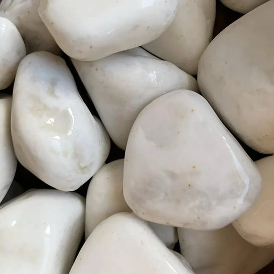 Ozami Sten Dolomite 10–60mm – Ljus, kalkrik dekorsten för akvarium (20kg)