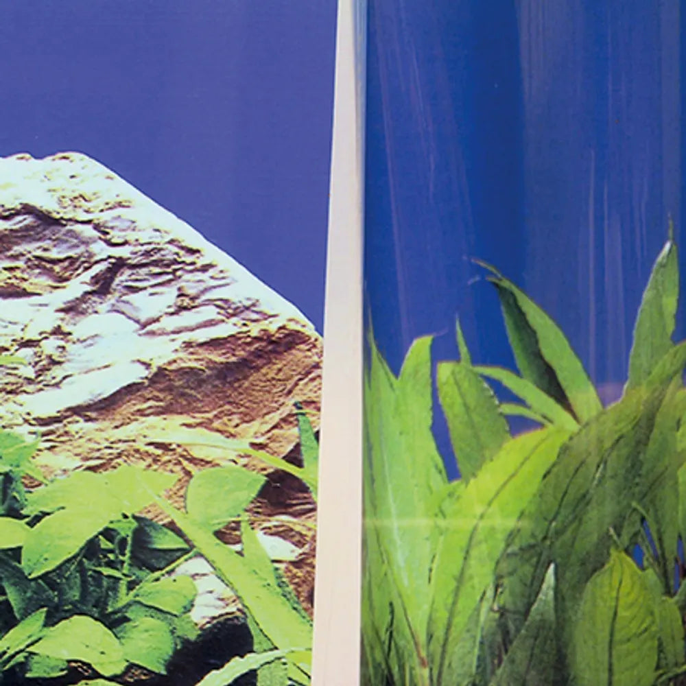 JBL Fixol – Kristallklart lim för akvariebakgrunder