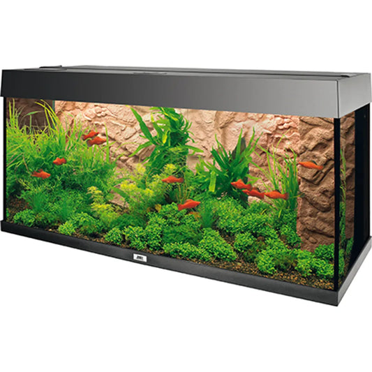 Juwel Stone Clay – Varm, lerfärgad stenbakgrund i 3D