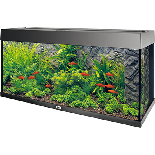 Juwel Stone Granite – Stilren granitlook i 3D för akvarium