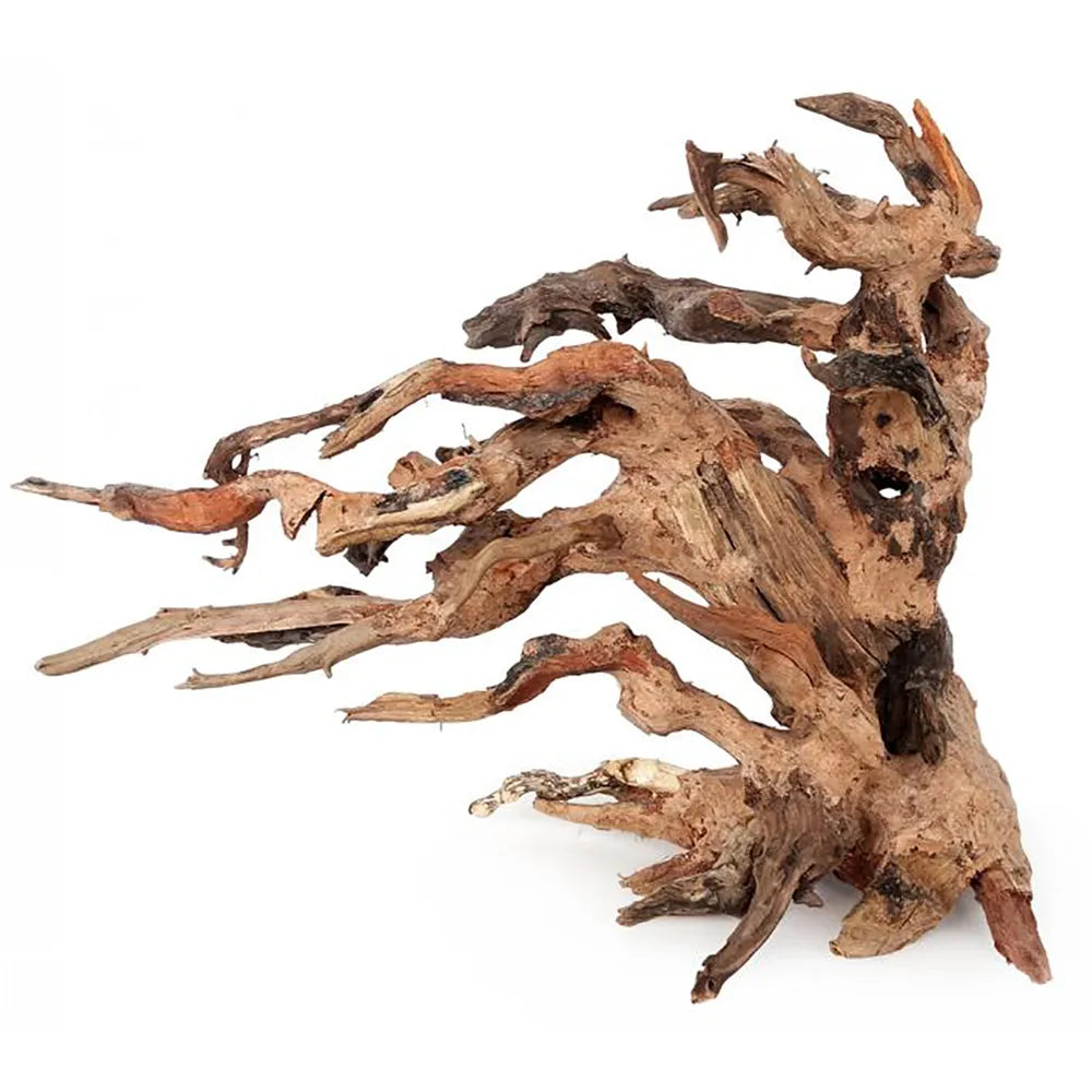 Ozami Bonsai Wood – Bonsaiträd i naturträ 25×20×14cm