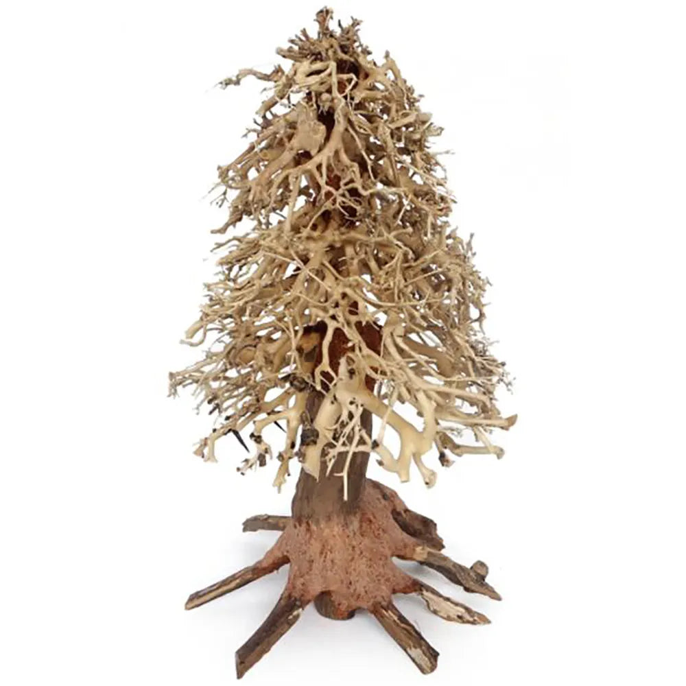 Ozami Bonsai Wood – Bonsaiträd i naturträ 20×30×20cm