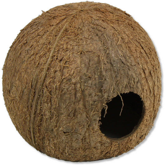 JBL Cocos Cava 3/4 Large