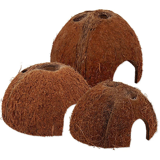 ReptiPlanet Coco Shell 1/2