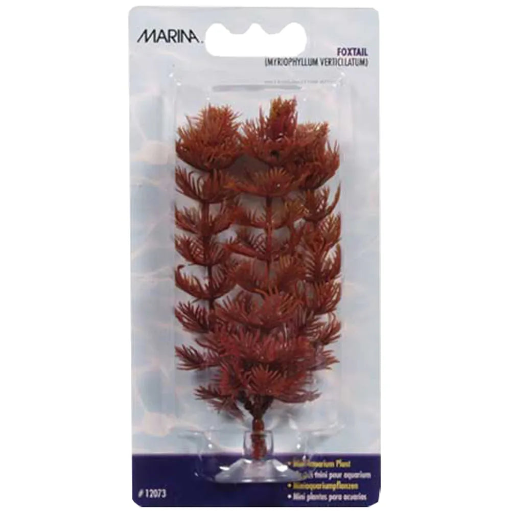 Marina Plastväxt Foxtail Mini 10cm med Sugkopp – 10cm röd akvarieväxt