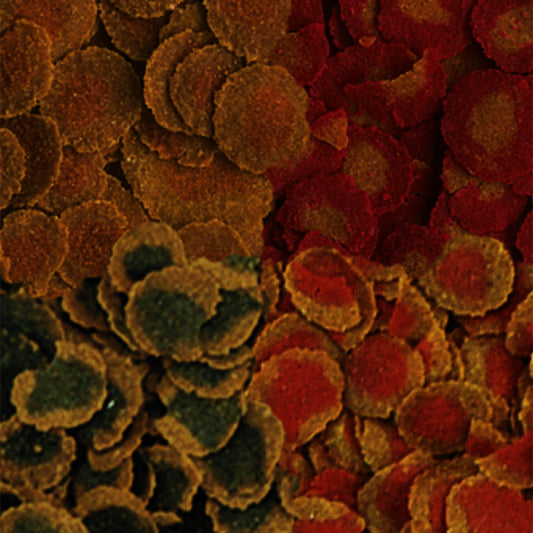 TetraPRO Multi-Crisps Menu 250ml