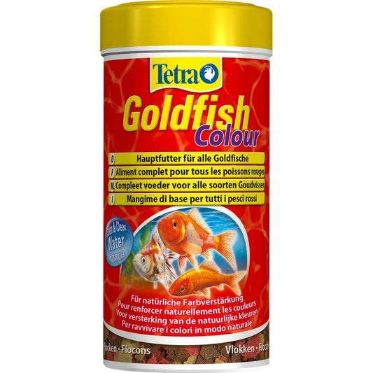 Tetra Goldfish Colour