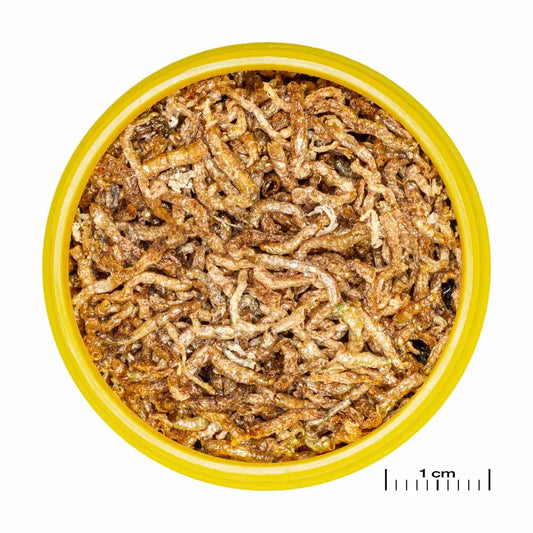 JBL PRONOVO FIL frystorkade röda mygglarver – 100 ml