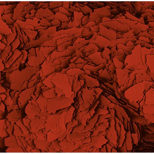 Tropical AstaColor 2kg/11 Liter