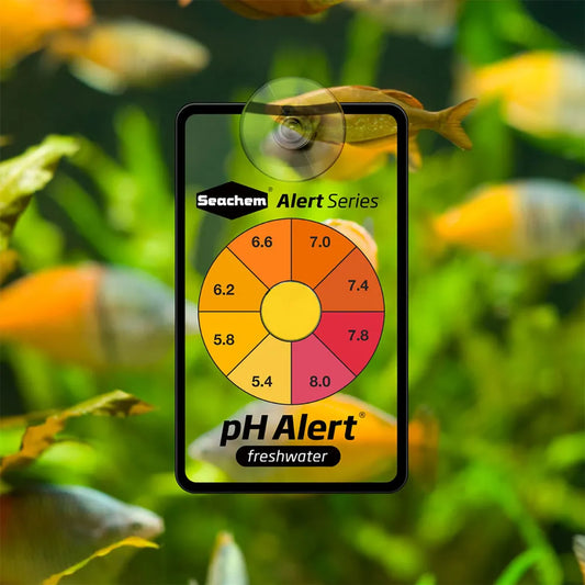 Seachem pH Alert 6 Month – Färgindikator för kontinuerlig pH-kontroll i sötvattensakvarium