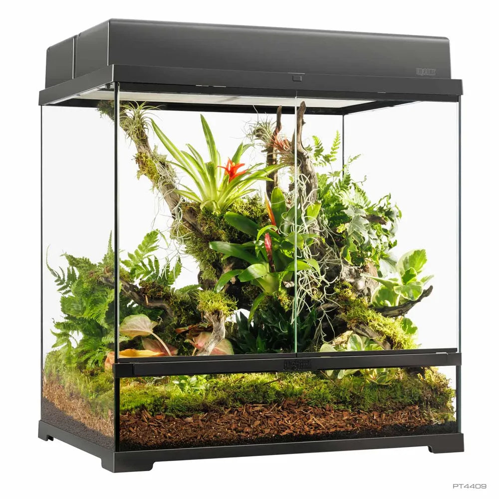 Exo Terra Pro Terrarium Medium – Avancerat glasterrarium med förbättrad ventilation