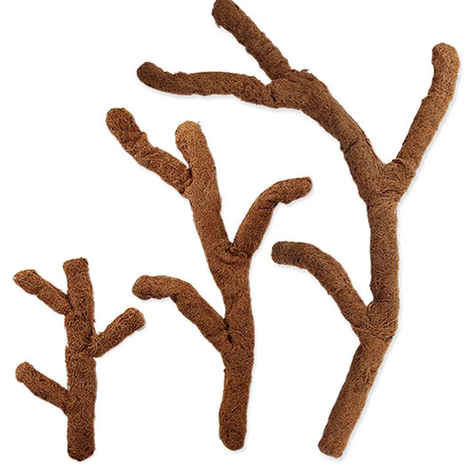 ReptiPlanet Coco Troncho