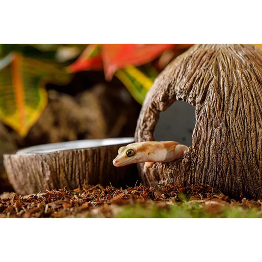 Exo Terra Coconut Hide