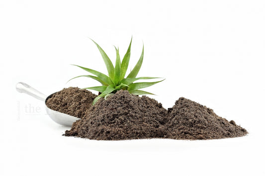 TPF Torv Och Sandblandning 3kg