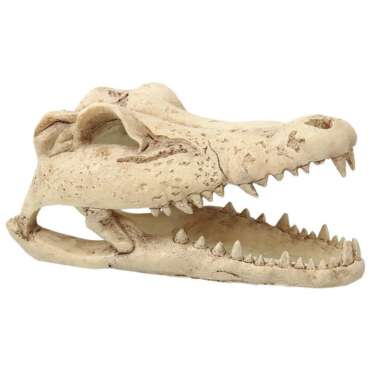 ReptiPlanet Small Crocodile Skull 13,8x6,8x6,5cm