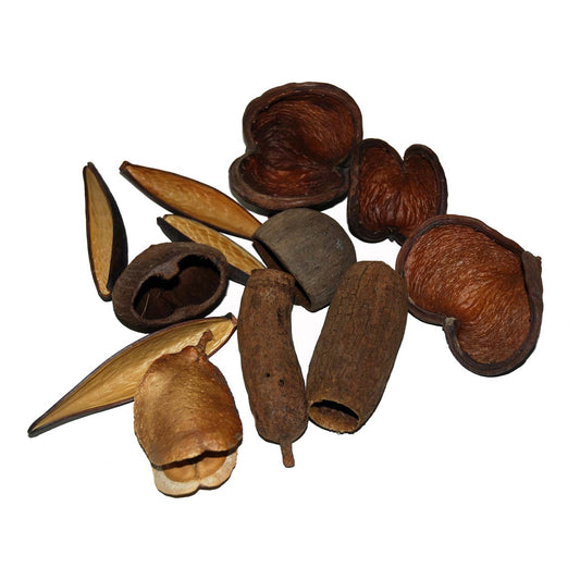 Lucky Reptiles Nature's Treasure