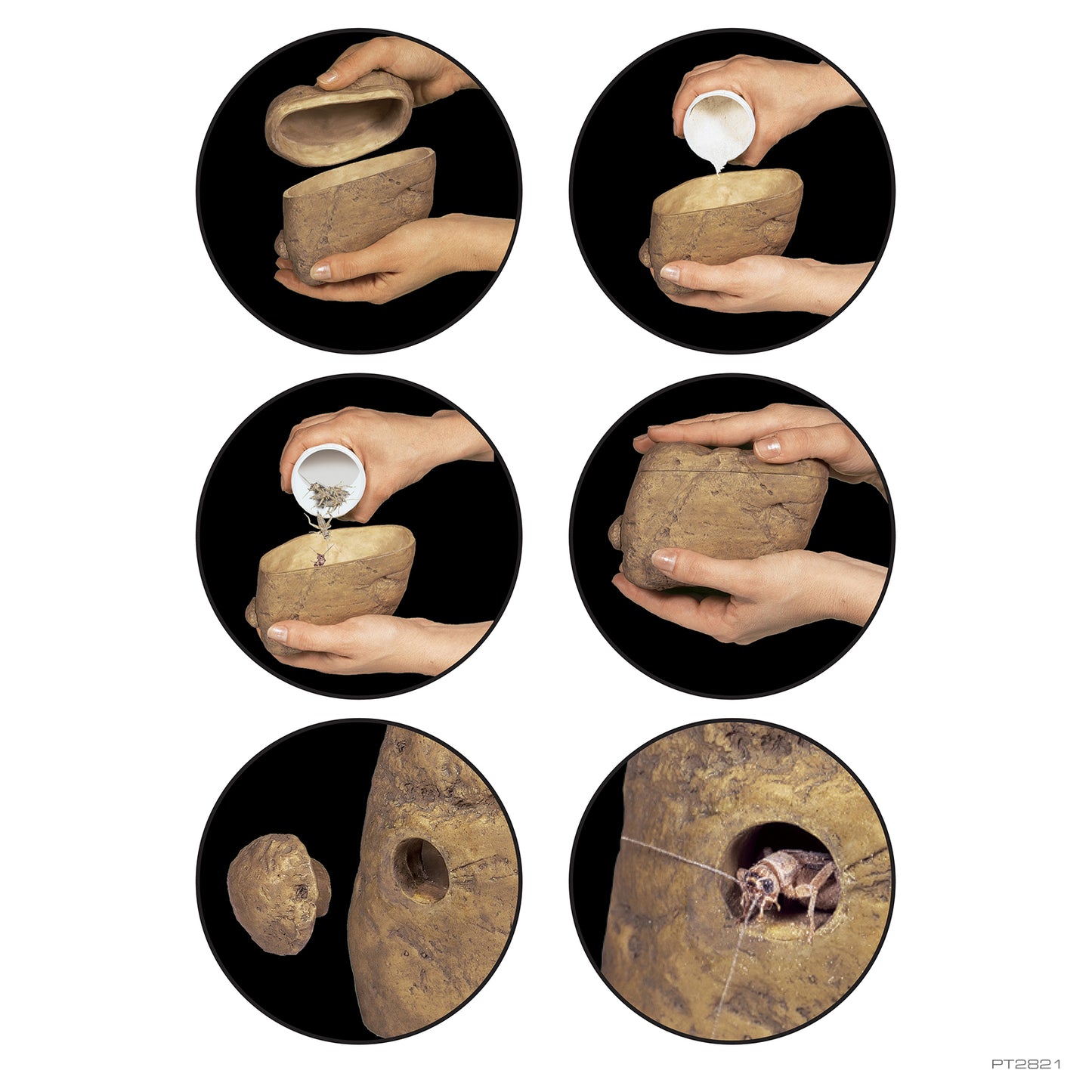 ExoTerra Feeding Rock