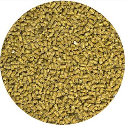 ZooMed Natural Adult Bearded Dragon Food