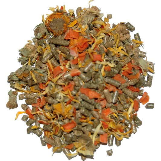 Lucky Reptile Tortoise Mix