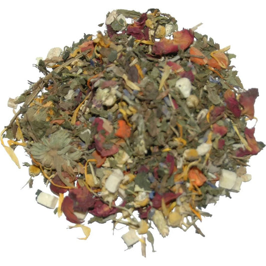 Lucky Reptile Testudo Mix