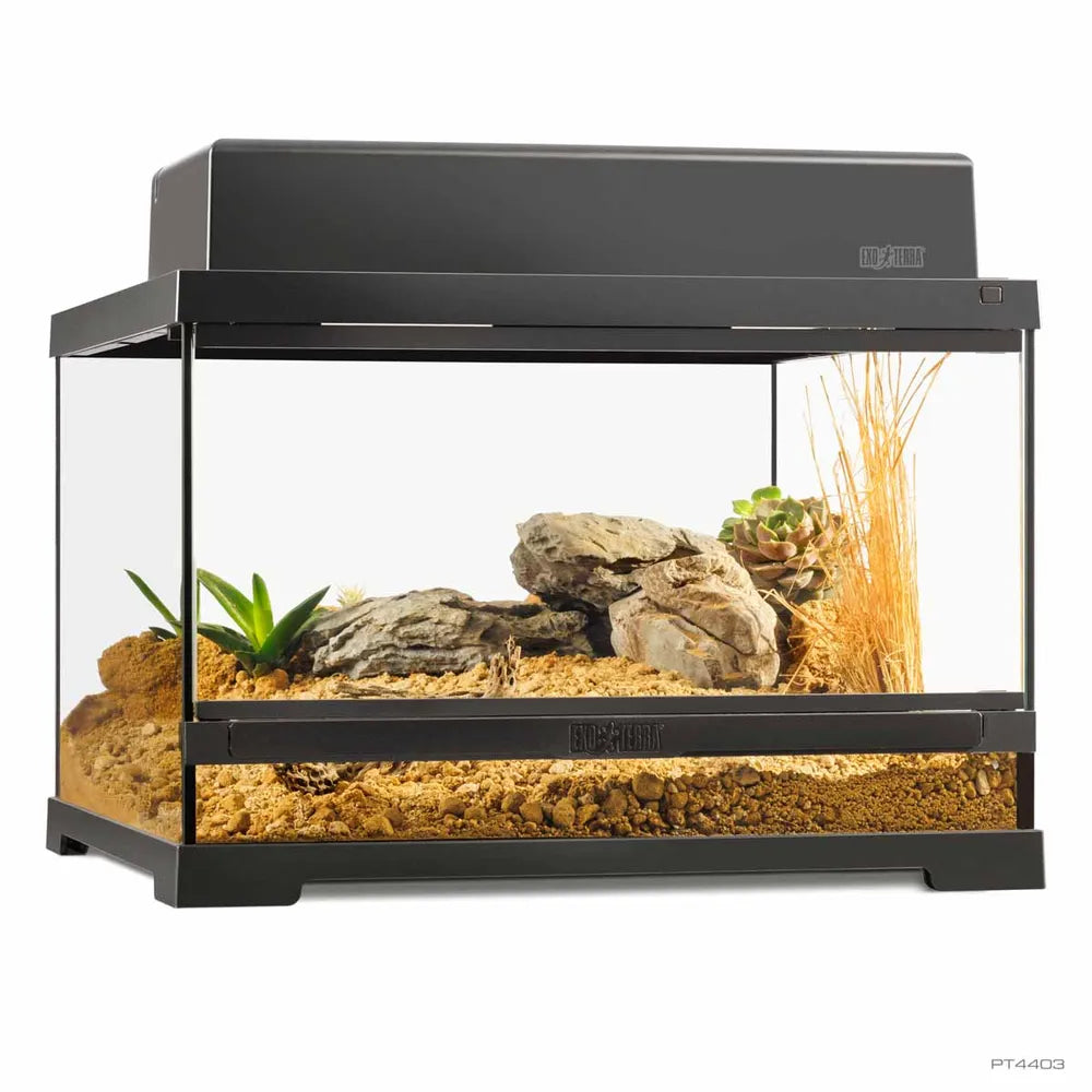 Exo Terra Pro Terrarium Small Low – Glasterrarium 45×45×30cm