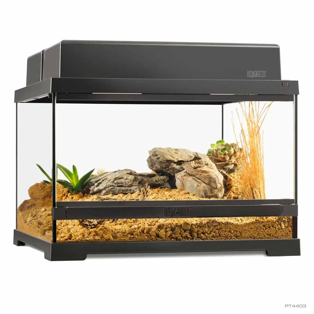 Exo Terra Pro Terrarium Small Low – Glasterrarium 45×45×30cm