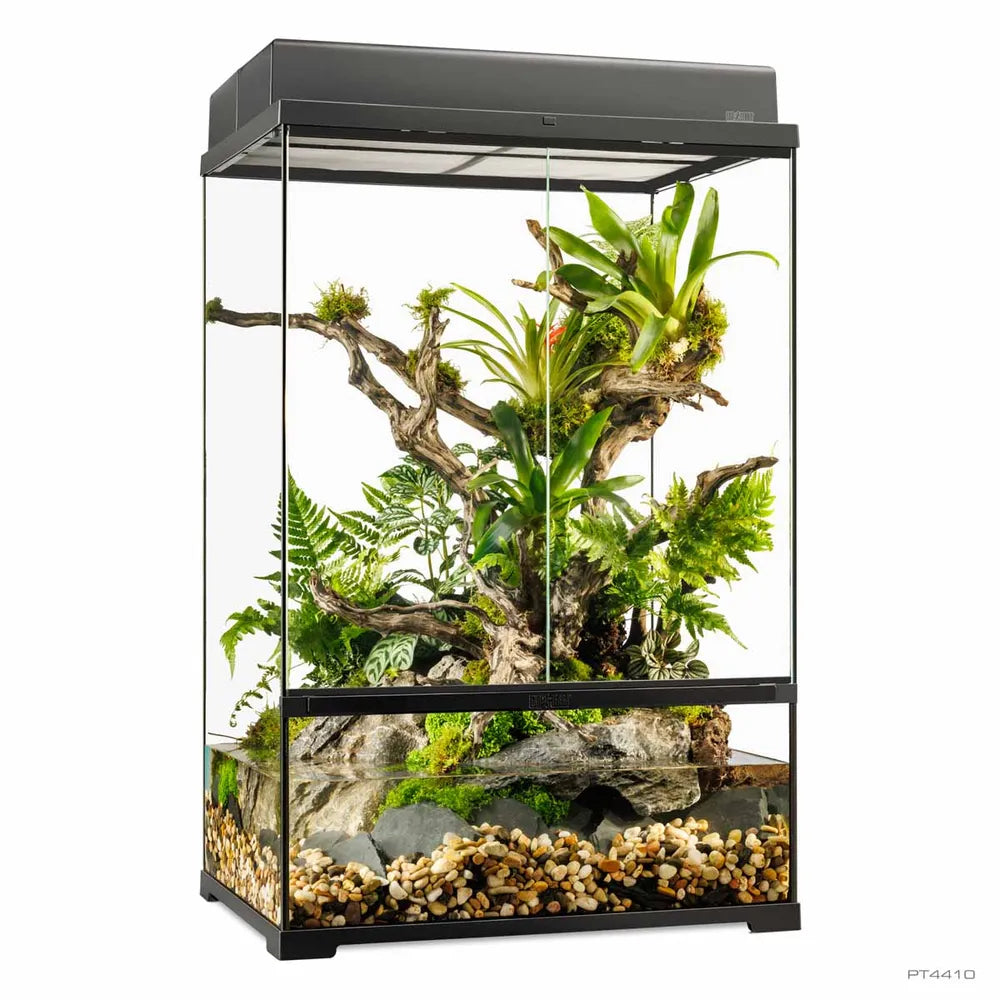 Exo Terra Pro Paludarium Medium X-Tall 60×45×90cm – Avancerat paludarium för tropiska miljöer