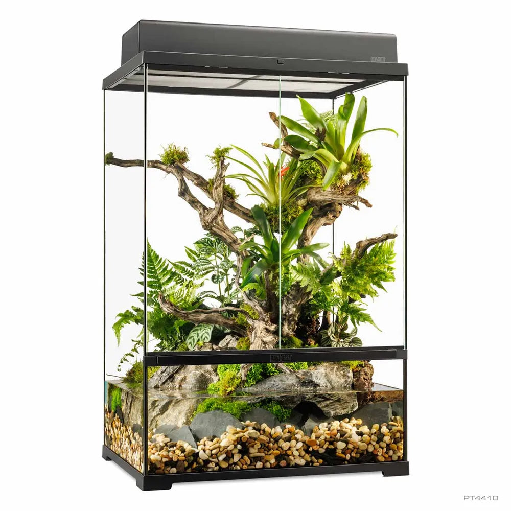 Exo Terra Pro Paludarium Medium X-Tall 60×45×90cm – Avancerat paludarium för tropiska miljöer
