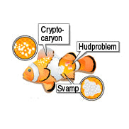 eSHa Oodinex – Medicin mot Oodinium, Cryptocaryon & fenröta 20ml