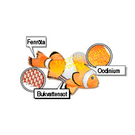 eSHa Oodinex – Medicin mot Oodinium, Cryptocaryon & fenröta 20ml