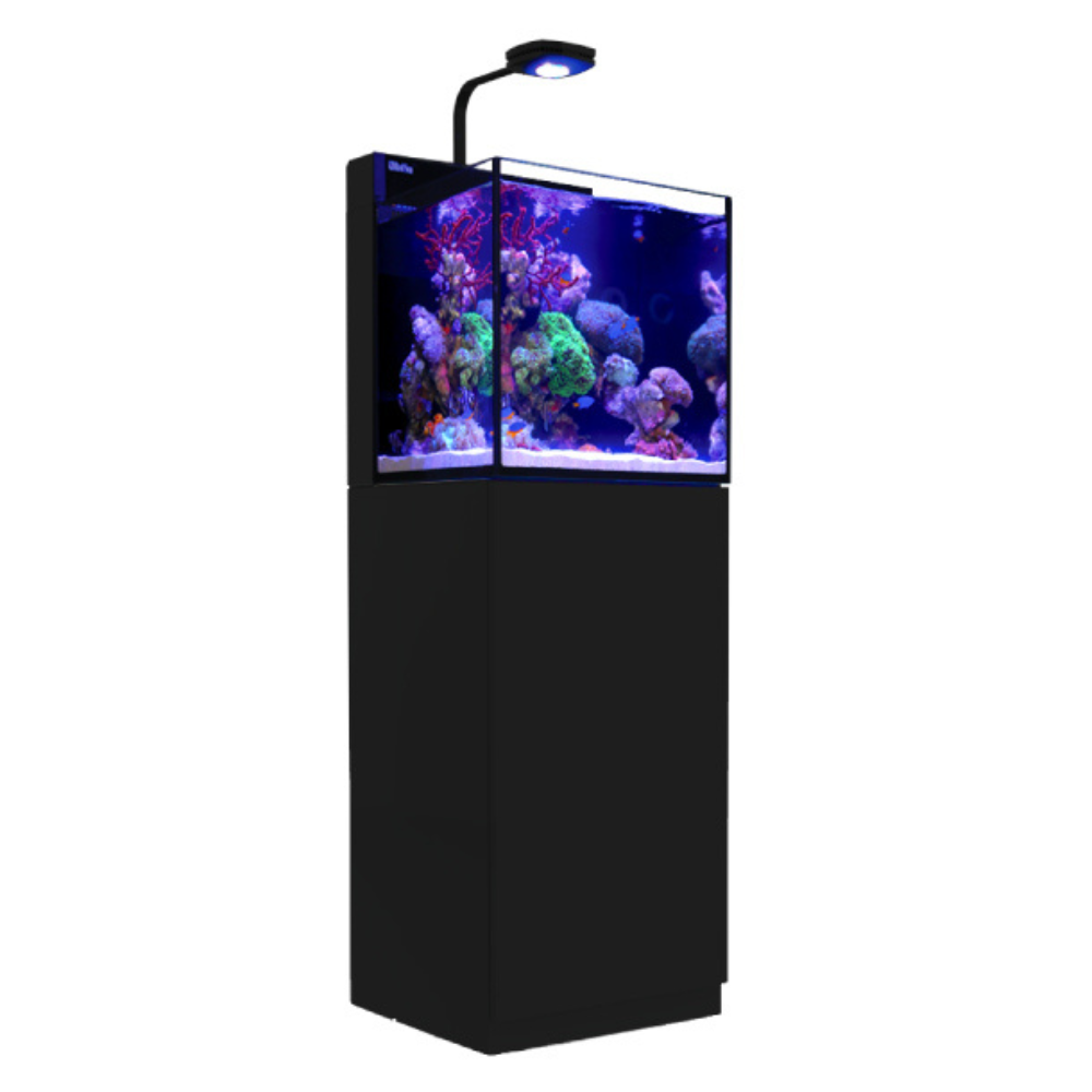 Red Sea Max Nano Akvarium Set – Komplett revakvarium 75L (45×45×45cm)