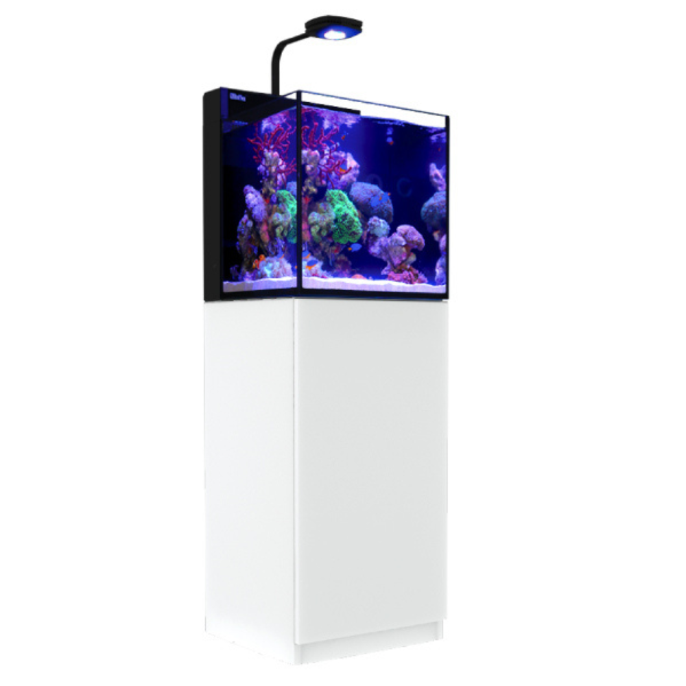 Red Sea Max Nano Akvarium Set – Komplett revakvarium 75L (45×45×45cm)