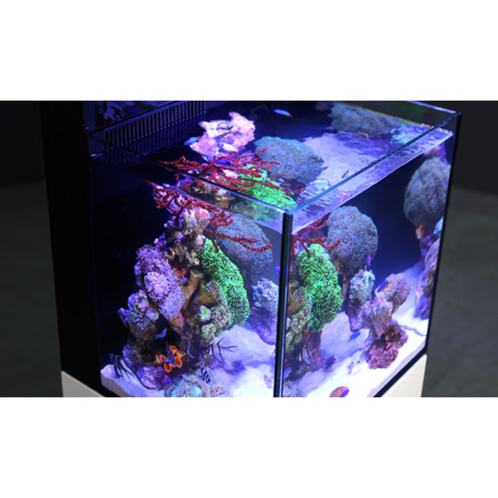 Red Sea Max Nano Akvarium Set – Komplett revakvarium 75L (45×45×45cm)