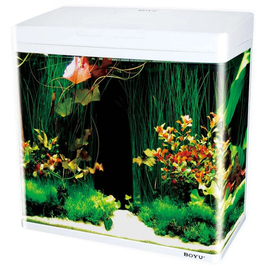 Boyu MS LED Akvarium Vit 45 Liter 48x25x49cm