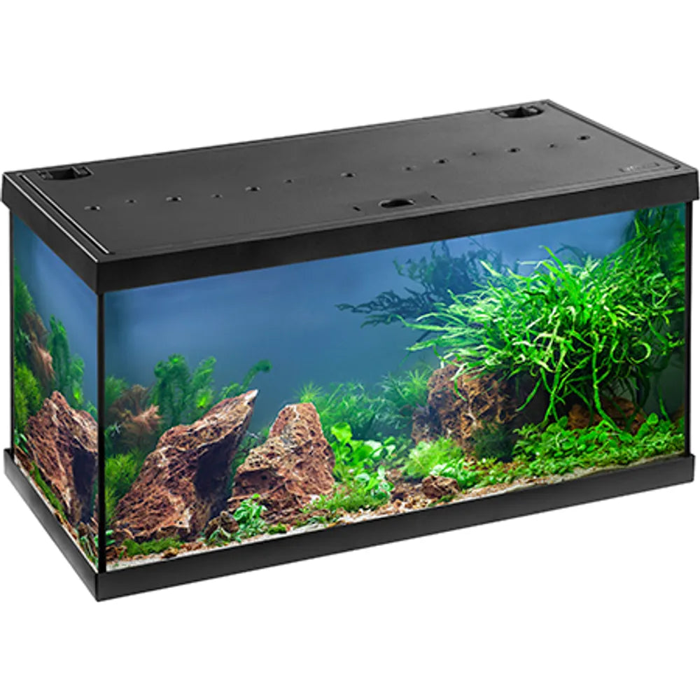 EHEIM Aquastar 54 LED startpaket 54L – 60x30x30cm