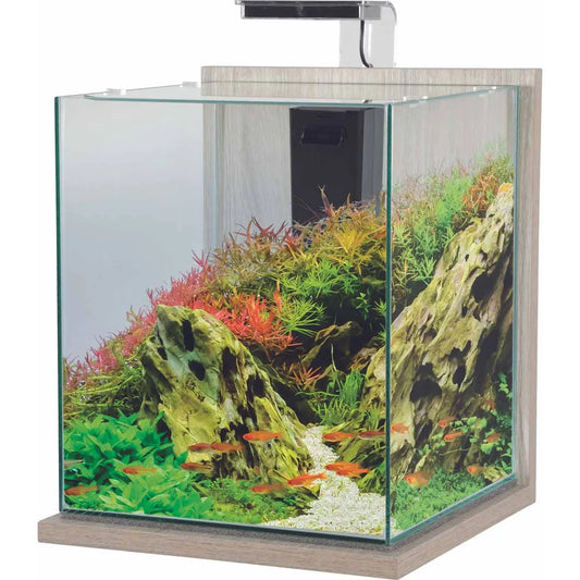 Zolux Jalaya XXL Nanoakvarium 31,5L – Komplett akvarieset 30x30x35cm