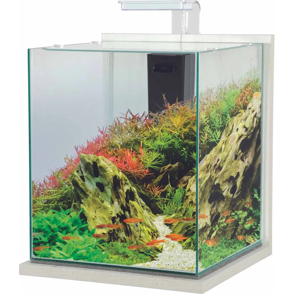 Zolux Jalaya XXL Nanoakvarium 31,5L – Komplett akvarieset 30x30x35cm