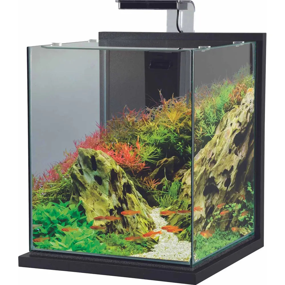 Zolux Jalaya XXL Nanoakvarium 31,5L – Komplett akvarieset 30x30x35cm
