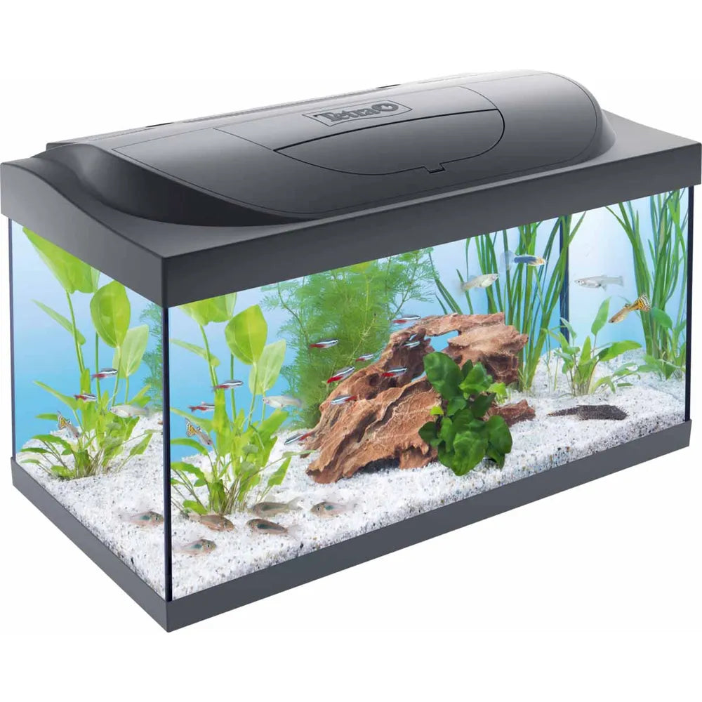 Tetra Starter Line LED 54L startpaket – 60x30x30cm