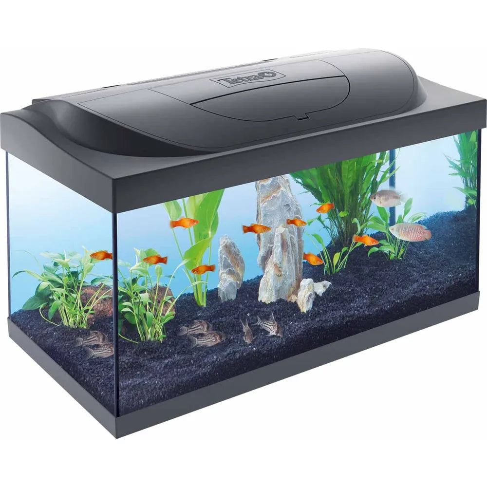 Tetra Starter Line LED 54L startpaket – 60x30x30cm