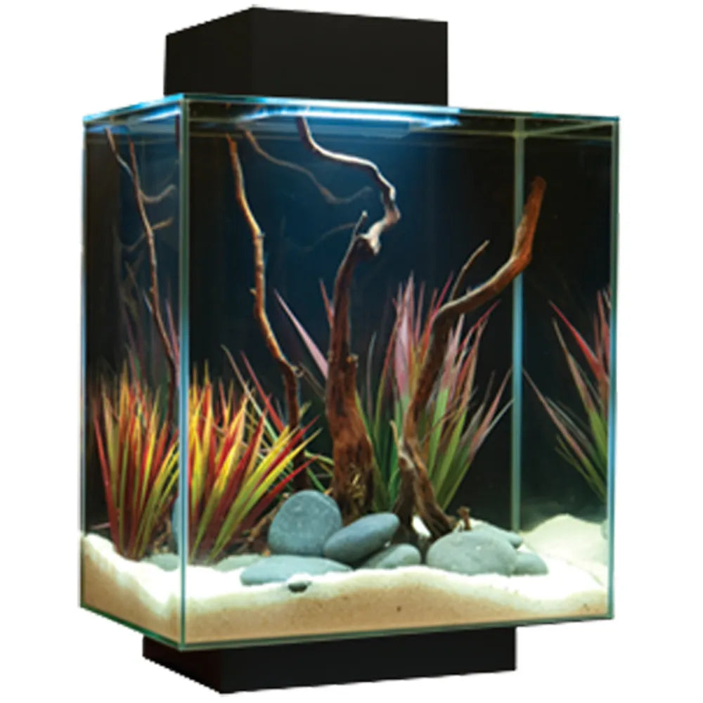 Fluval Edge LED 46 L Svart med AquaClear 20