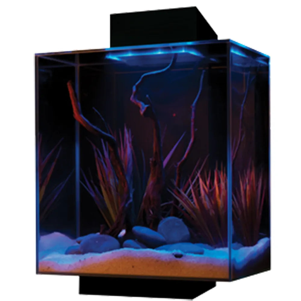 Fluval Edge LED 46 L Svart med AquaClear 20