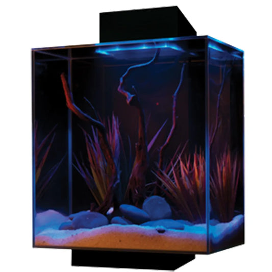 Fluval Edge LED 46 L Svart med AquaClear 20