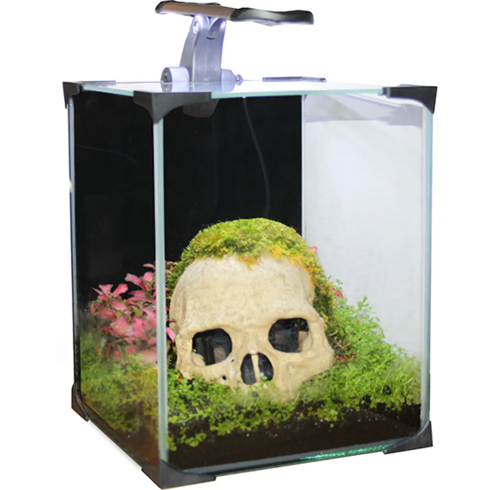 Diversa Nano LED Akvarium – Komplett Startpaket