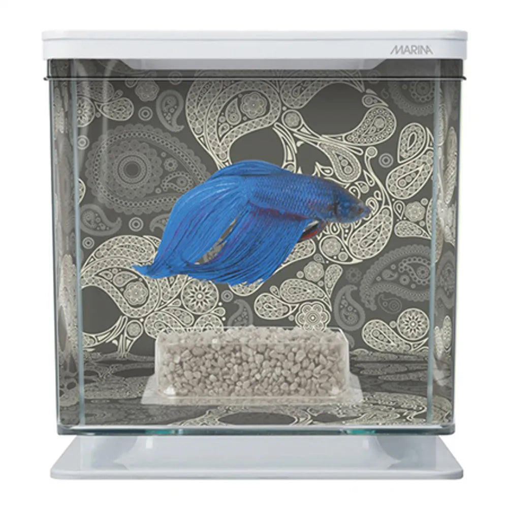 Marina Betta Kit – Skull 2 L Vit